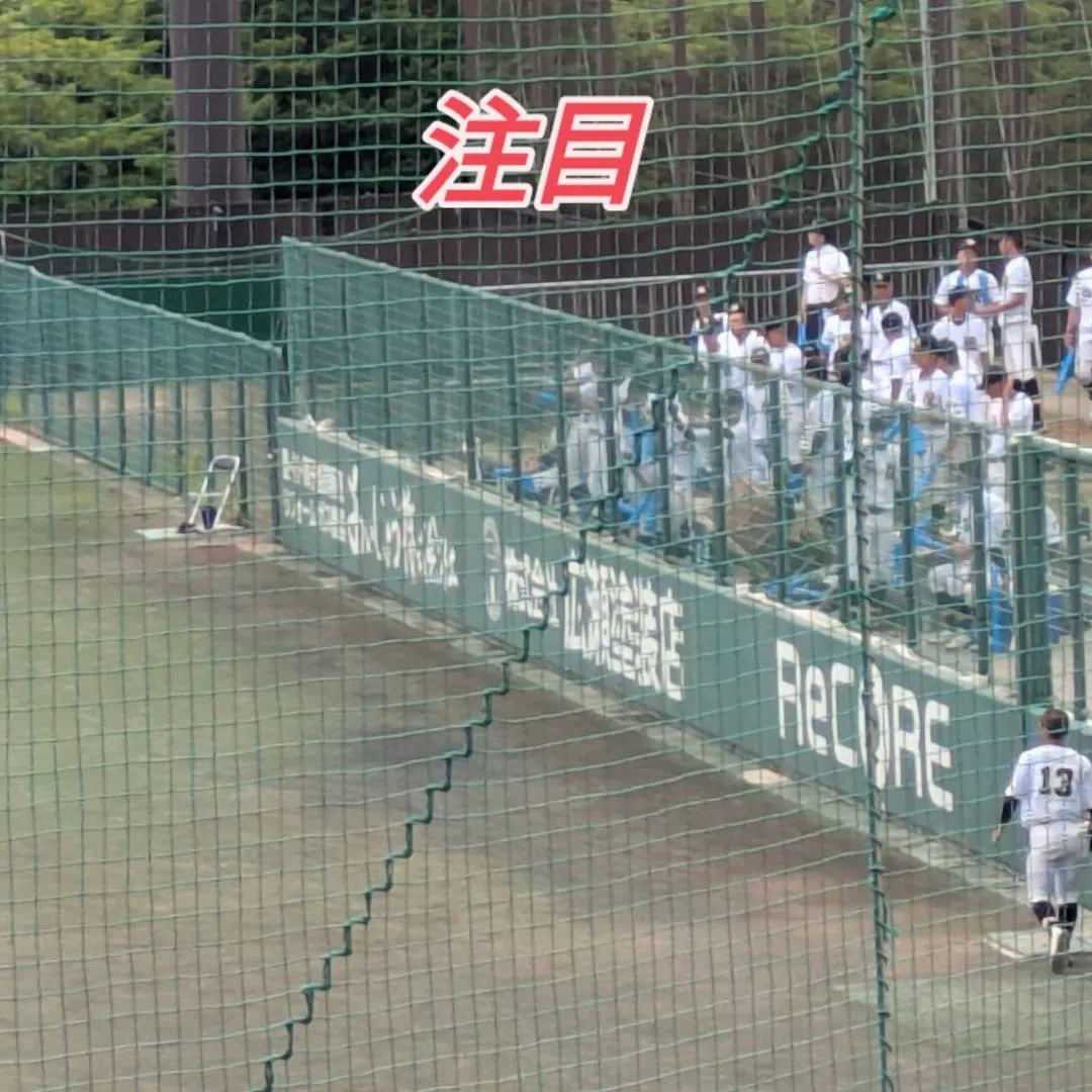 キッピ―スタジアムの一塁ブルペン横にご注目！（三田市）