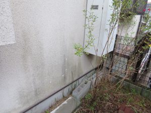 外壁の雨染みの原因と除去する方法をご紹介します！